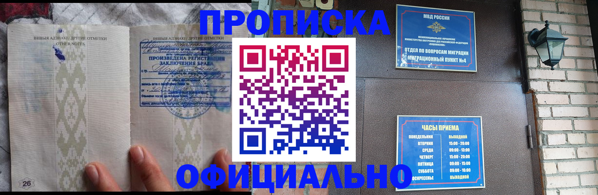 прописка поиск в Щёлково